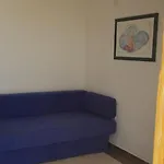 Vucko *